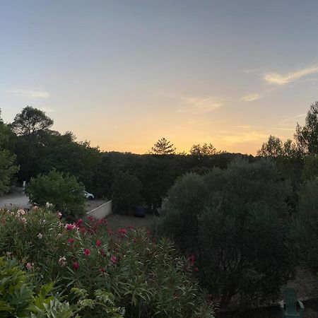 Natur & Jasmin Chambres D'Hotes Naturistes En Provence Lorgues Exterior photo