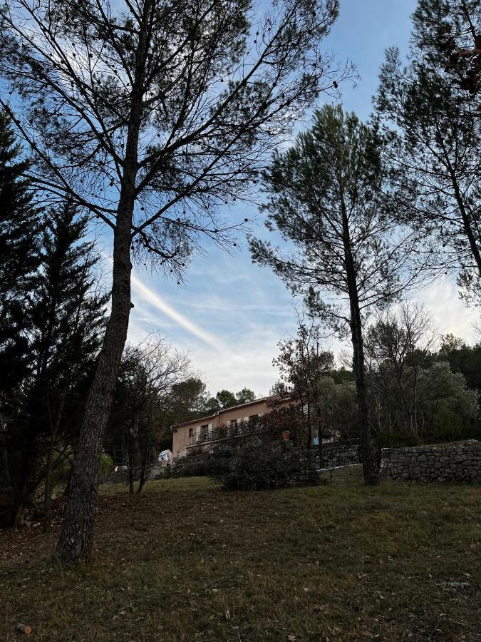 Natur & Jasmin Chambres D'Hotes Naturistes En Provence Lorgues Exterior photo