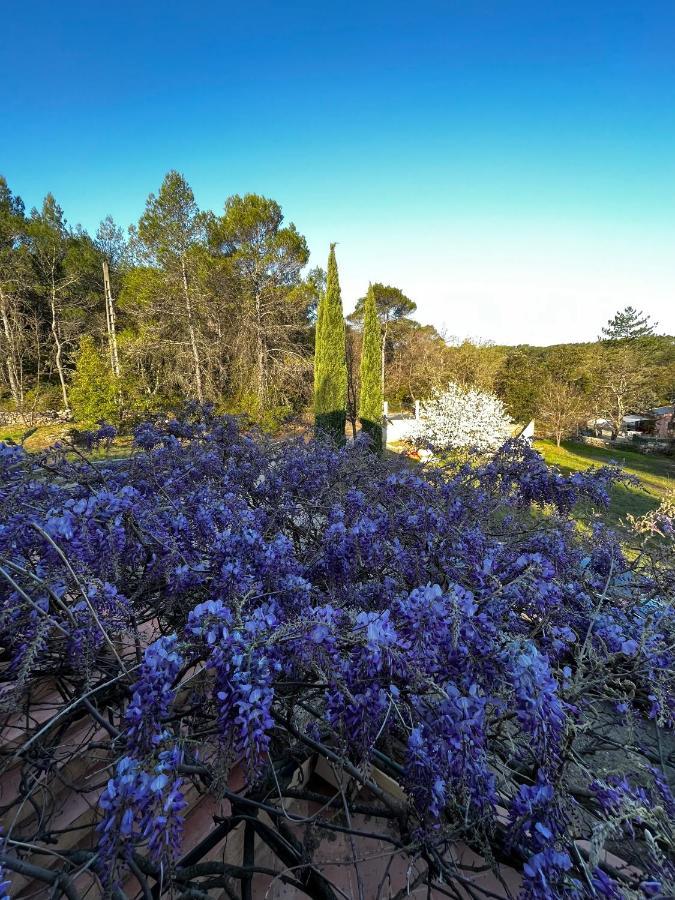 Natur & Jasmin Chambres D'Hotes Naturistes En Provence Lorgues Exterior photo