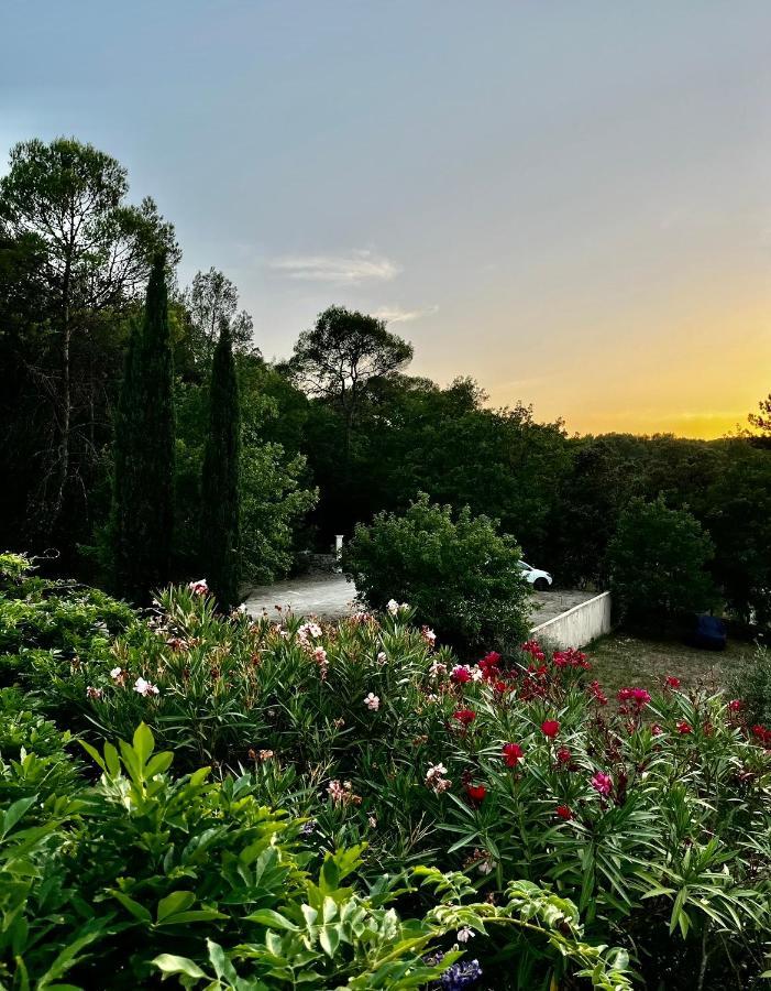 Natur & Jasmin Chambres D'Hotes Naturistes En Provence Lorgues Exterior photo